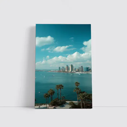 San Diego Bay Skyline Palm Trees Blue Sky