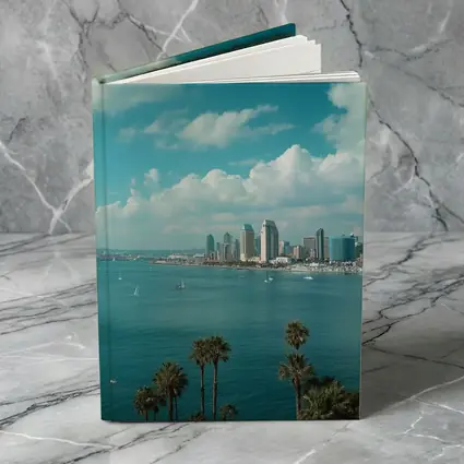 San Diego Bay Skyline Palm Trees Blue Sky