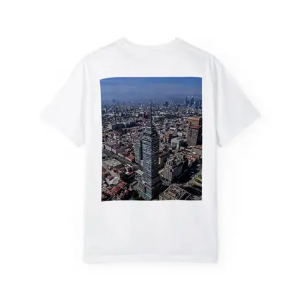 Mexico City Aerial Skyline Urban View