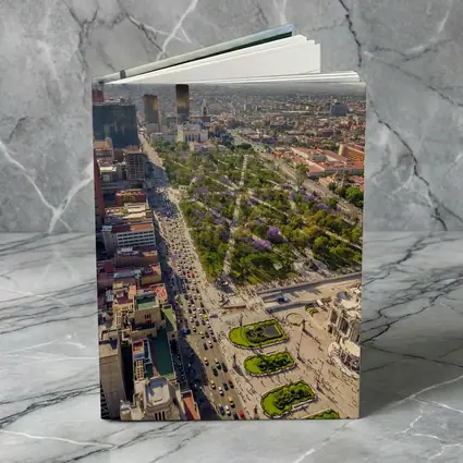 Mexico City Aerial View Palacio Bellas Artes