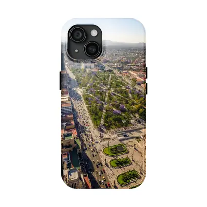 Mexico City Aerial View Palacio Bellas Artes