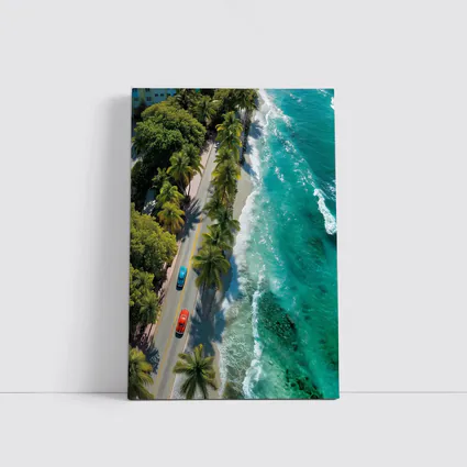 Classic Cars Coastal Road Palm Trees Aerial