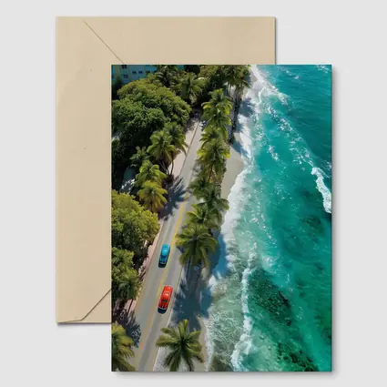 Classic Cars Coastal Road Palm Trees Aerial