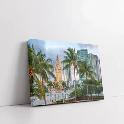 Miami Freedom Tower Palm Trees Skyline