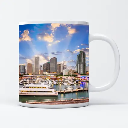 Miami Downtown Skyline Marina Waterfront View