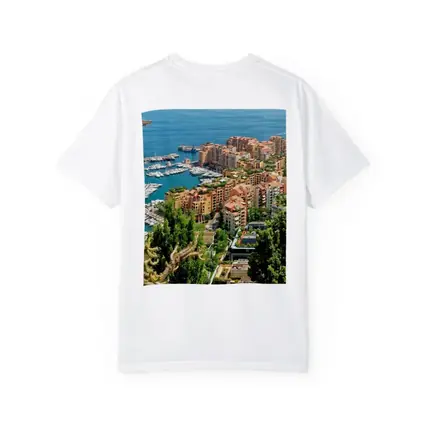 Monaco Harbor Aerial View Mediterranean Coast