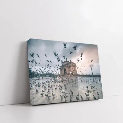 Gateway of India Mumbai Pigeons Storm
