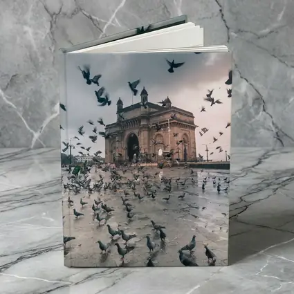 Gateway of India Mumbai Pigeons Storm