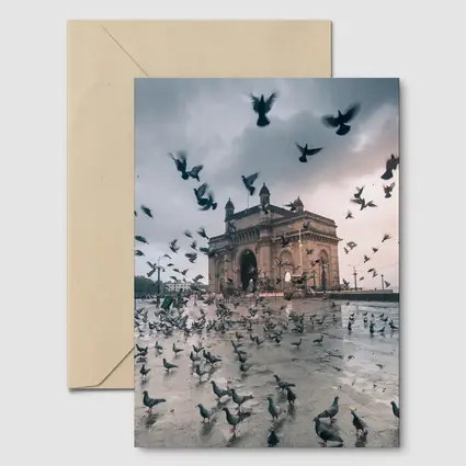 Gateway of India Mumbai Pigeons Storm