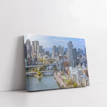 Osaka Skyline Cherry Blossoms River View
