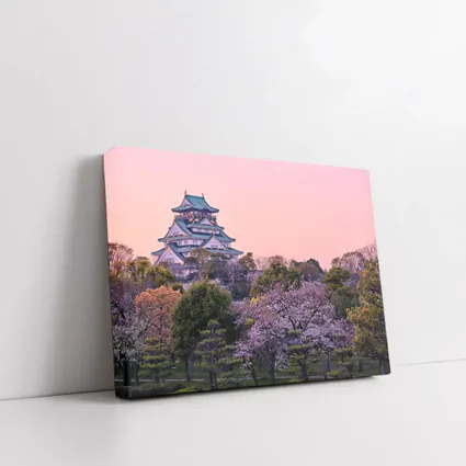 Osaka Castle Cherry Blossoms Pink Sunset