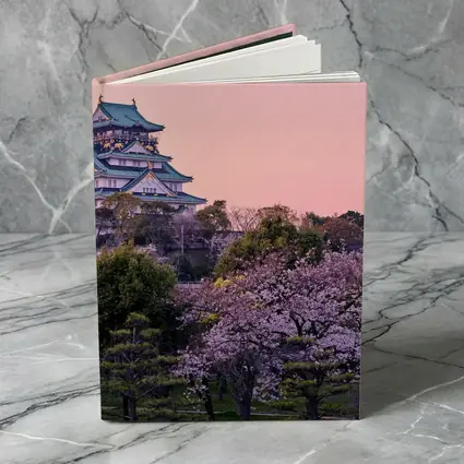Osaka Castle Cherry Blossoms Pink Sunset
