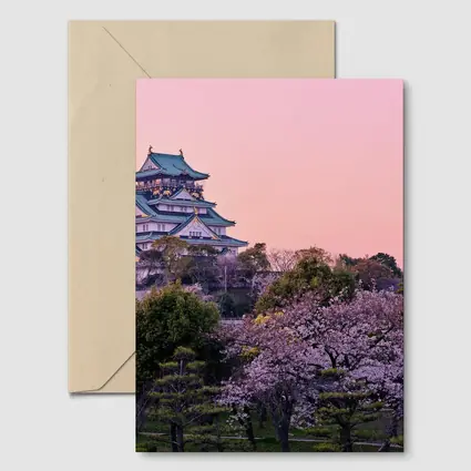 Osaka Castle Cherry Blossoms Pink Sunset