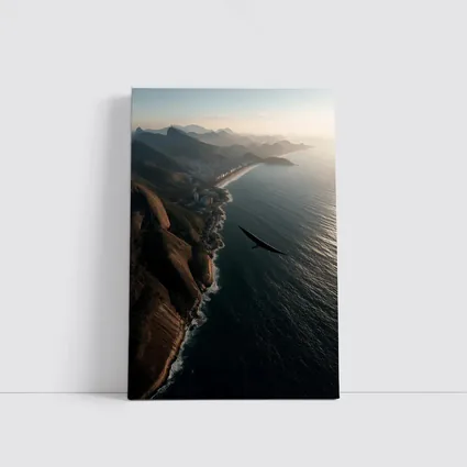 Eagle Soaring Over Rio De Janeiro Coast