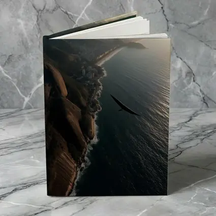 Eagle Soaring Over Rio De Janeiro Coast