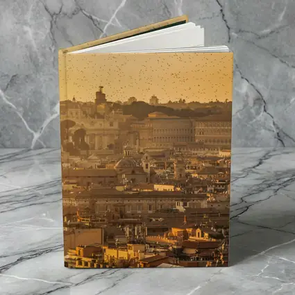 Rome Skyline Golden Sunset St Peters Basilica