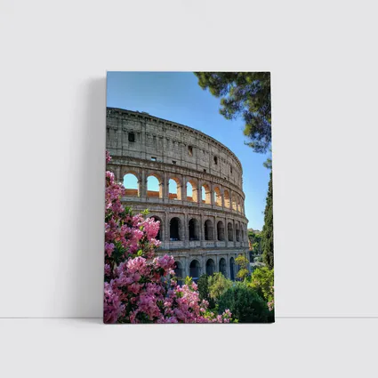 Rome Colosseum Pink Flowers Blue Sky