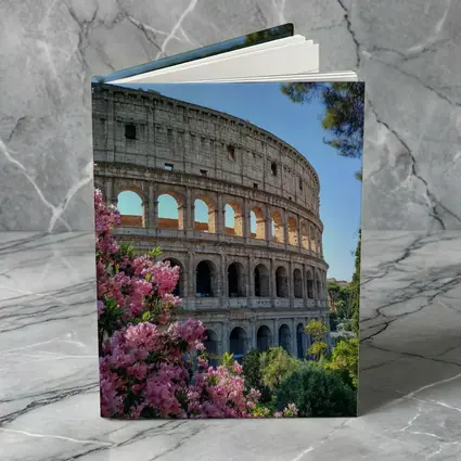 Rome Colosseum Pink Flowers Blue Sky