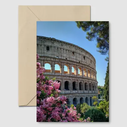 Rome Colosseum Pink Flowers Blue Sky