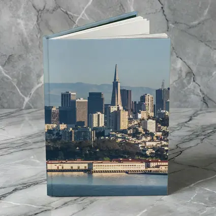 San Francisco Skyline Bay Aerial City View
