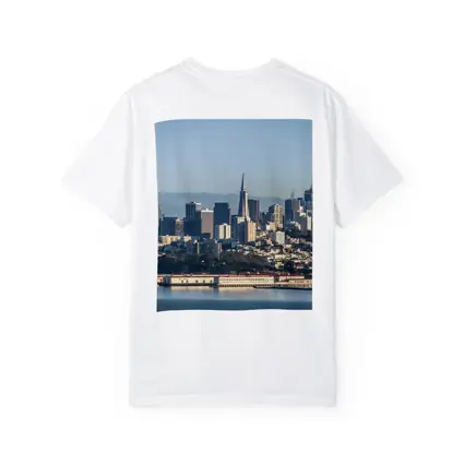San Francisco Skyline Bay Aerial City View