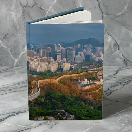 Seoul Skyline With Ancient City Wall