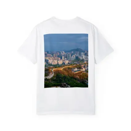 Seoul Skyline With Ancient City Wall
