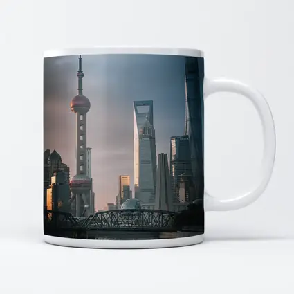 Shanghai Skyline Bridge at Golden Hour