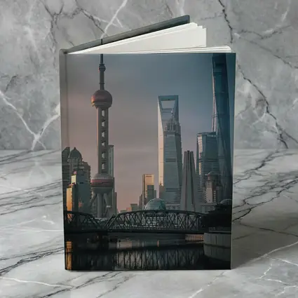 Shanghai Skyline Bridge at Golden Hour