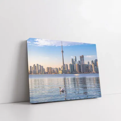 Toronto Skyline Swan on Lake Ontario