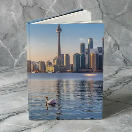 Toronto Skyline Swan on Lake Ontario