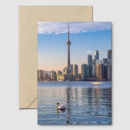 Toronto Skyline Swan on Lake Ontario