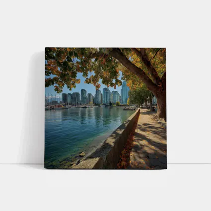 Vancouver Waterfront Skyline Autumn Trees Seawall
