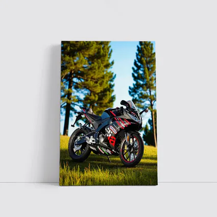 Aprilia Sport Bike Black Red Outdoor Grass