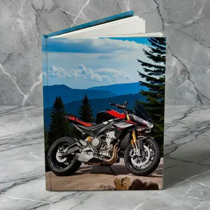 Aprilia Tuono Streetfighter Motorcycle Mountain Forest