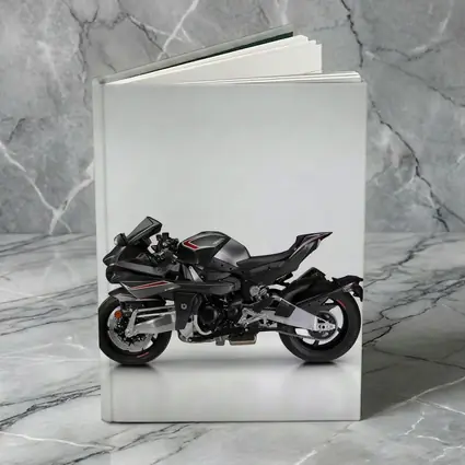 Kawasaki Ninja H2 Black Sport Bike