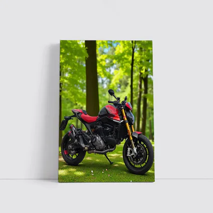 Ducati Monster Red Black Motorcycle Green Park
