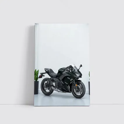 Kawasaki Ninja Sport Bike White Studio