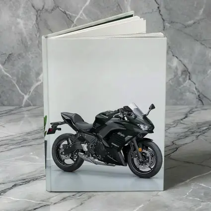 Kawasaki Ninja Sport Bike White Studio