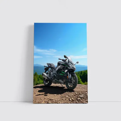 Kawasaki Sport Bike Mountain Overlook View