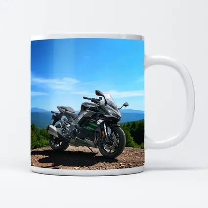 Kawasaki Sport Bike Mountain Overlook View