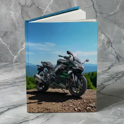 Kawasaki Sport Bike Mountain Overlook View