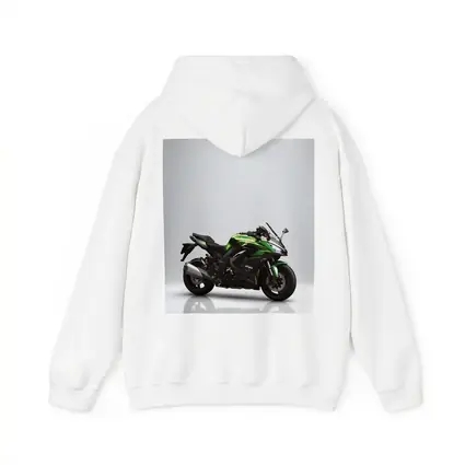 Kawasaki Ninja Sport Bike Gray Studio