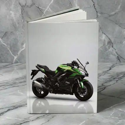 Kawasaki Ninja Sport Bike Gray Studio