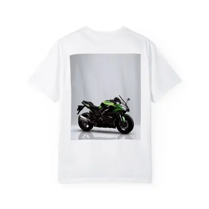 Kawasaki Ninja Sport Bike Gray Studio