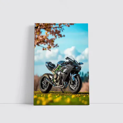 Kawasaki Ninja H2 Green Spring Park