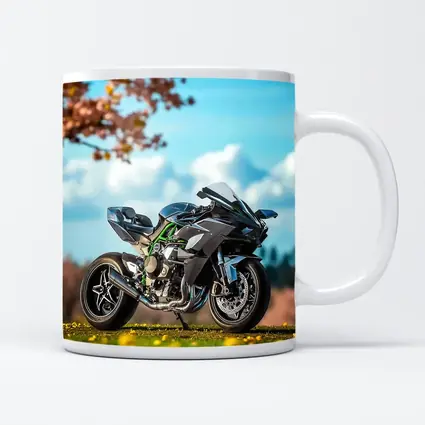 Kawasaki Ninja H2 Green Spring Park