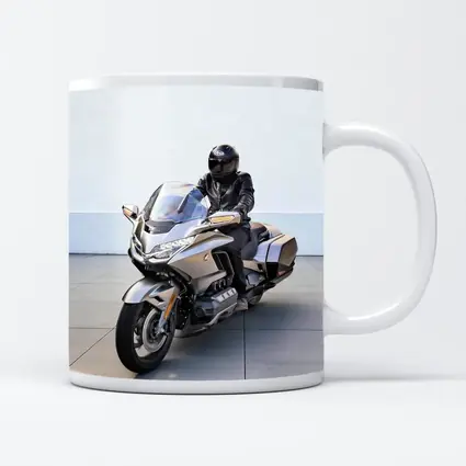 Honda Gold Wing Rider Gray Urban Setting