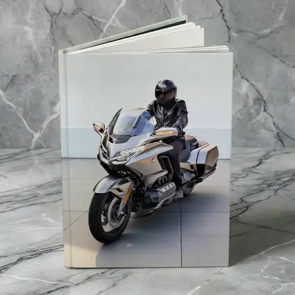 Honda Gold Wing Rider Gray Urban Setting