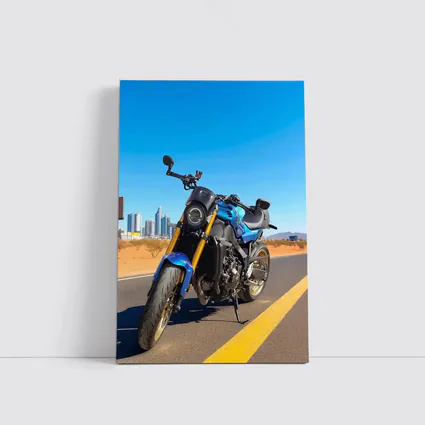 Blue Naked Bike Desert City Skyline